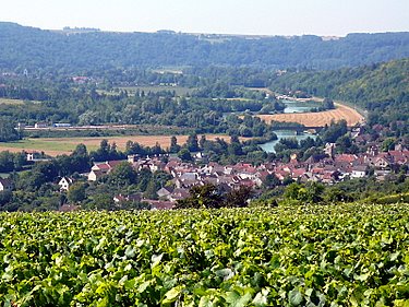 A 5 minutes du Clos de la Rose: la vallée de la Marne et ses vignobles